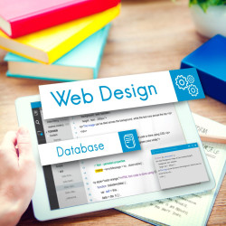 تصميم وتطوير المواقع